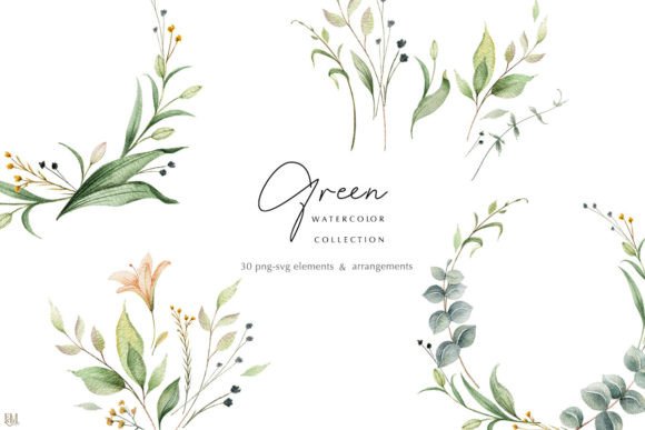 Download Watercolor Greenery Collection - Greenery Collection